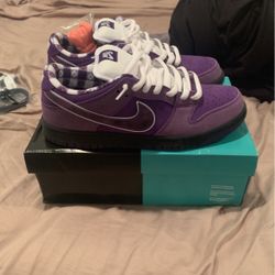 Nike Sb Purple Lobster