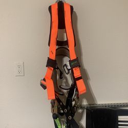 Harness