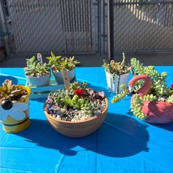 Plant Sale