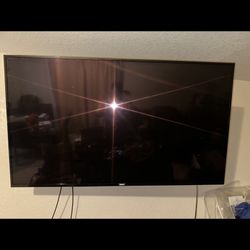 65” Philips With Mount 