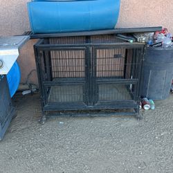 Dog Kennel 