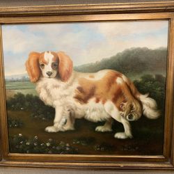 King Charles Spaniel 