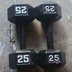 25lb dumbbells