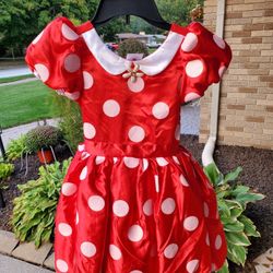 Disney Minnie Dress Z& Shoes, Size 5