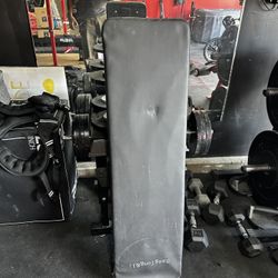 Bench Press Bench