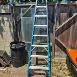 Warner 8 Ft Ladder