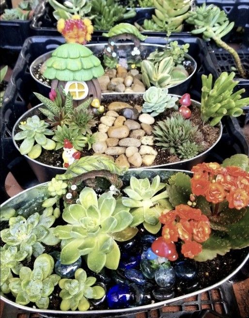 PLANT AND GIFT SALE THIS SATURDAY AT MOOSE LODGE. XMAS