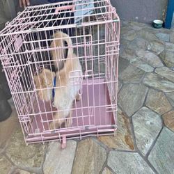 stage doctor Heavy Metal Dog Crates - Dependable and Protected