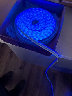 Segrass RGB LED 100ft rope lights