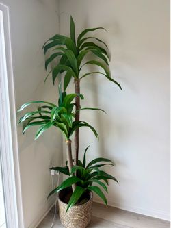 Decorative Tree