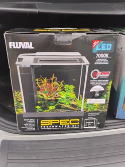 Fluval Spec III aquarium starter kit featuring a 2.6-gallon glass tank.