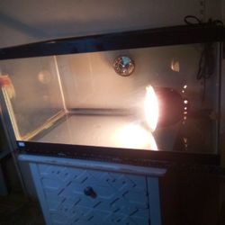 reptile habitat with a heat 🪔🦎☀️😳👍🩹🤕