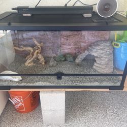 Bearded Dragon Tank + More