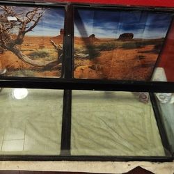 Aquarium Used For Reptile Can Be Converted Into A Salt Water Aquarium