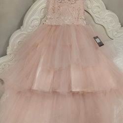 Blush Dress Kids Size 8