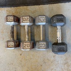 20lb Dumbbells