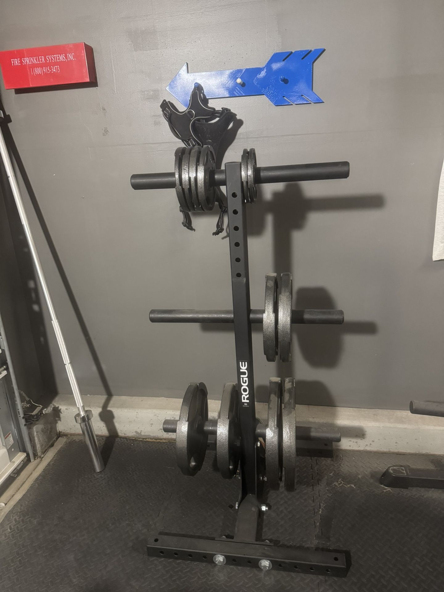 Rogue Plate Tree with Plates 