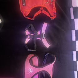 Small Dog Leashes And Clothes 