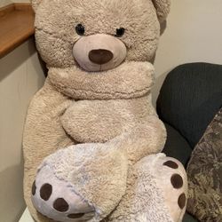 Giant Bear From Costco $20