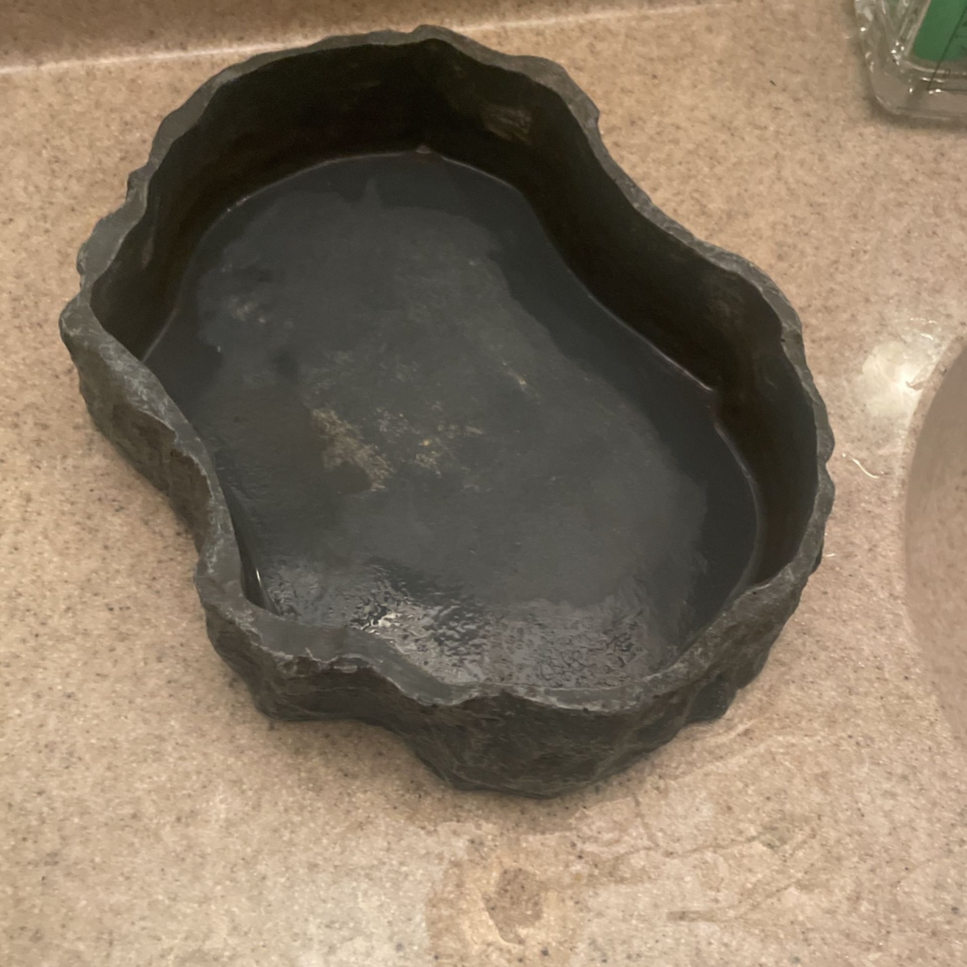 Reptile Food, And Water Bowl