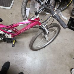 Huffy Girls Mountain Bike 