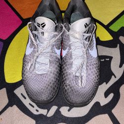 Kobe 6 Eybl