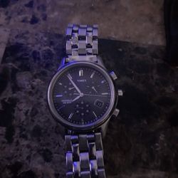 Timex Watch.silver And Platinum 