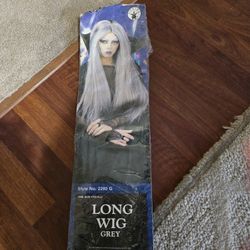 HALLOWEEN 🎃 LONG GRAY WIG NEW 