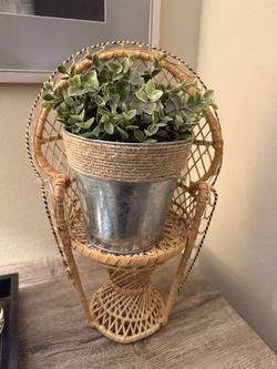 Mini Peacock Wicker Boho Plant Chair