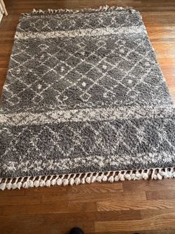 5’3” × 7’ Shag Area Rug