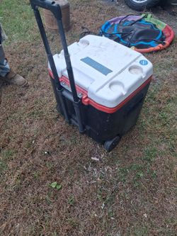 Cooler great condition