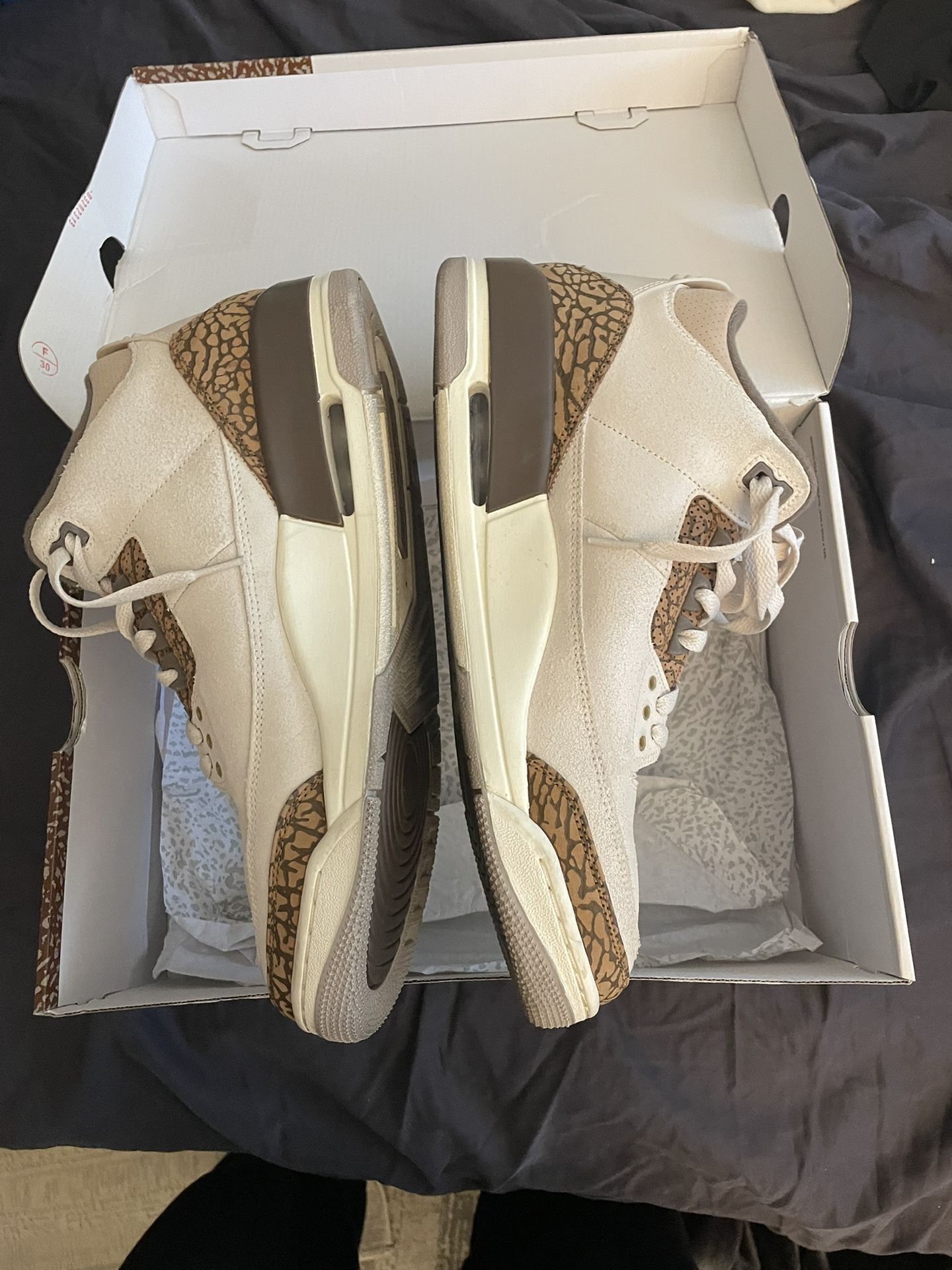 Air Jordan 3’s