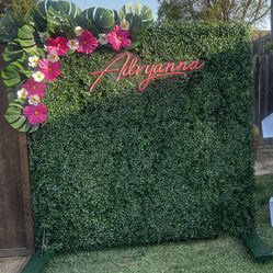 Backdrop For Party