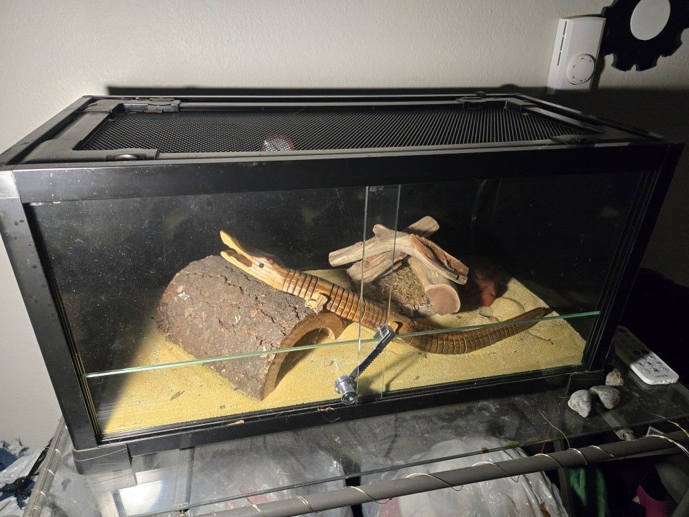 10 Gallon Dessert Tank Brand New