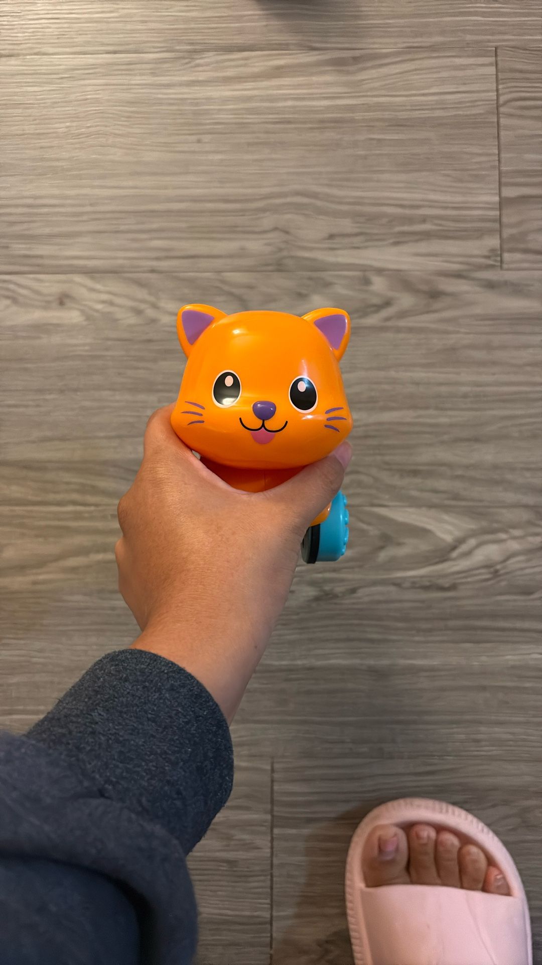 Cat Toy