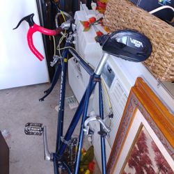 Schwinn World tour 