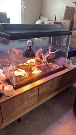 30 gal tank