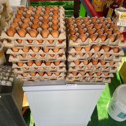 Huevos Organicos 