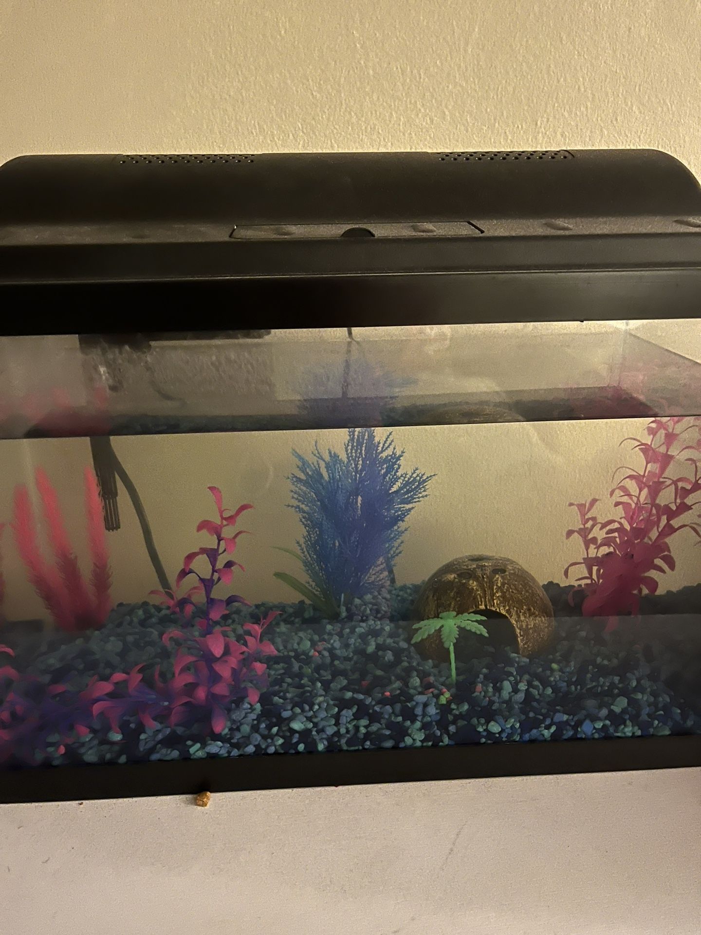 Fish Tank With filter, Food, Cleaning Tools 