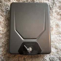 Gun Lock Box