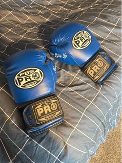Pro Boxing Gloves