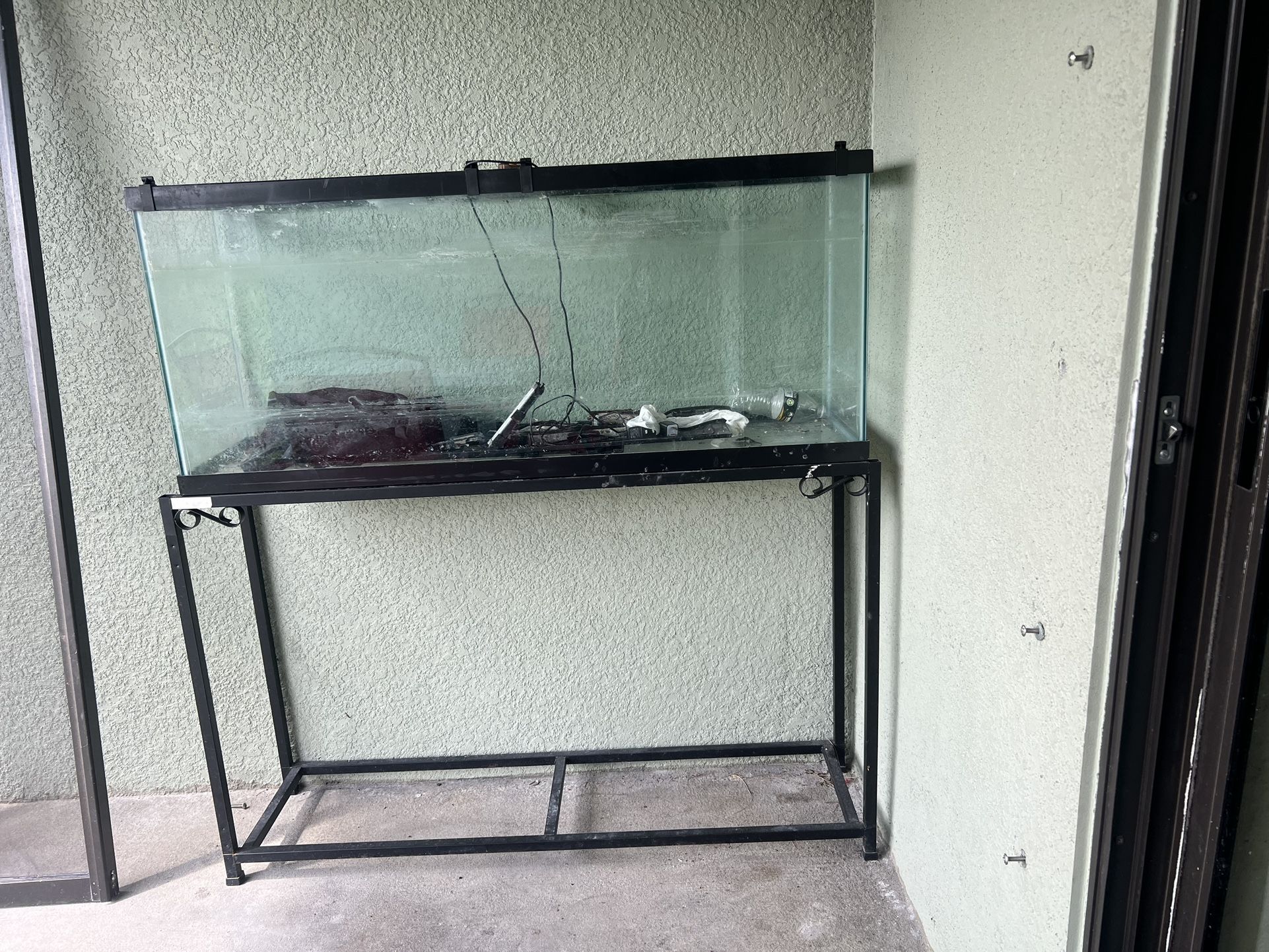 Fish Aquarium