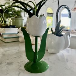 🤍 🌷 🌷 White Tulip 🌷 Air Plant Holder 🌱 -Made In Taiwan