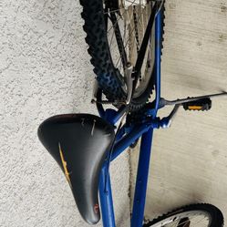 Bicycle 