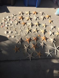 Beach Wedding Lot
