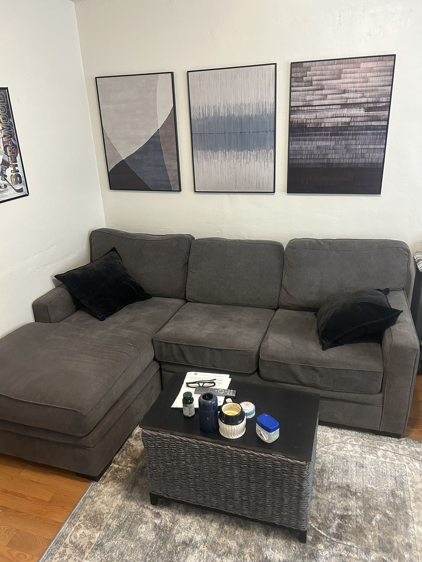 L Arm Facing Chaise Sofa