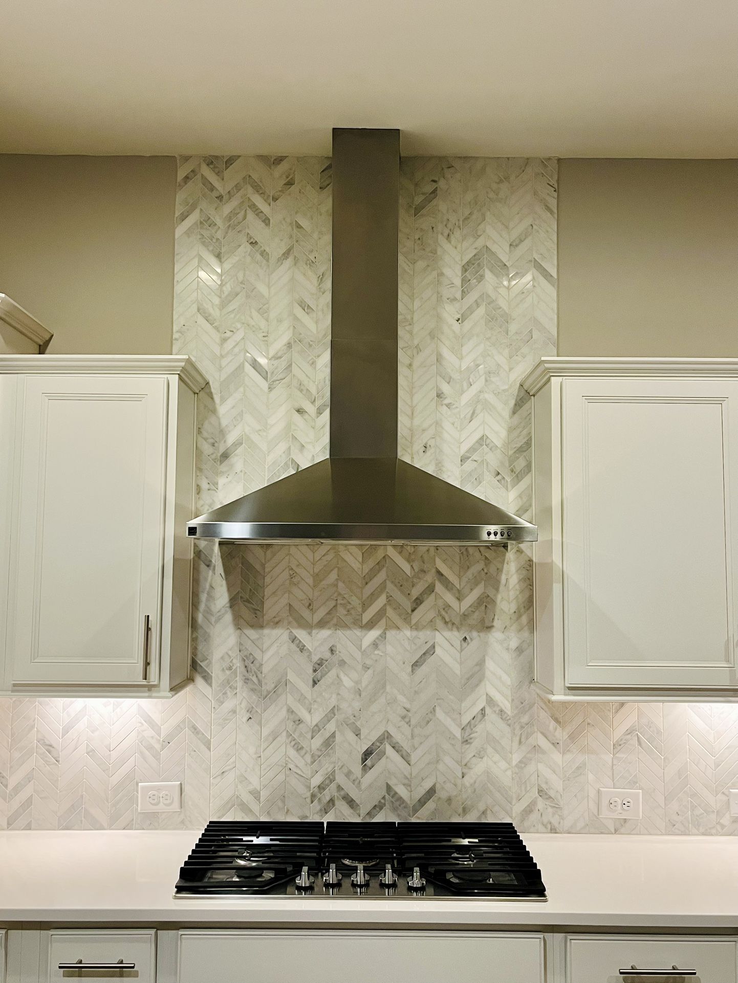 Range Hood in Stainless Steel