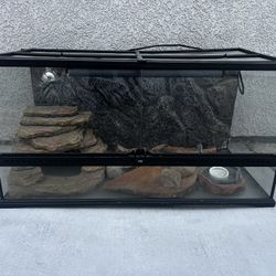 Lizard Or Snake Tank