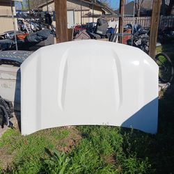 2019-2025 Chevy Silverado 1500 HOOD OEM