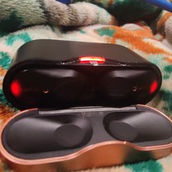Sony Earbuds
